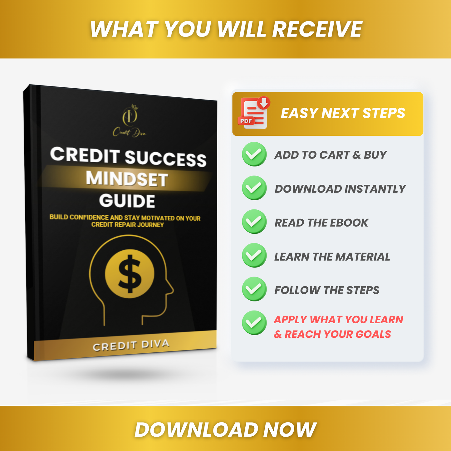 Credit Repair Success Planner