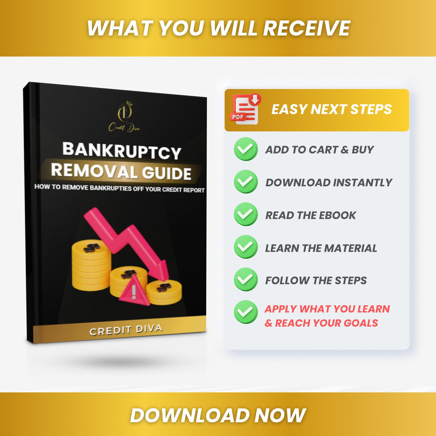 Bankruptcy Removal Blueprint: Your Step-by-Step Guide to Clean Credit