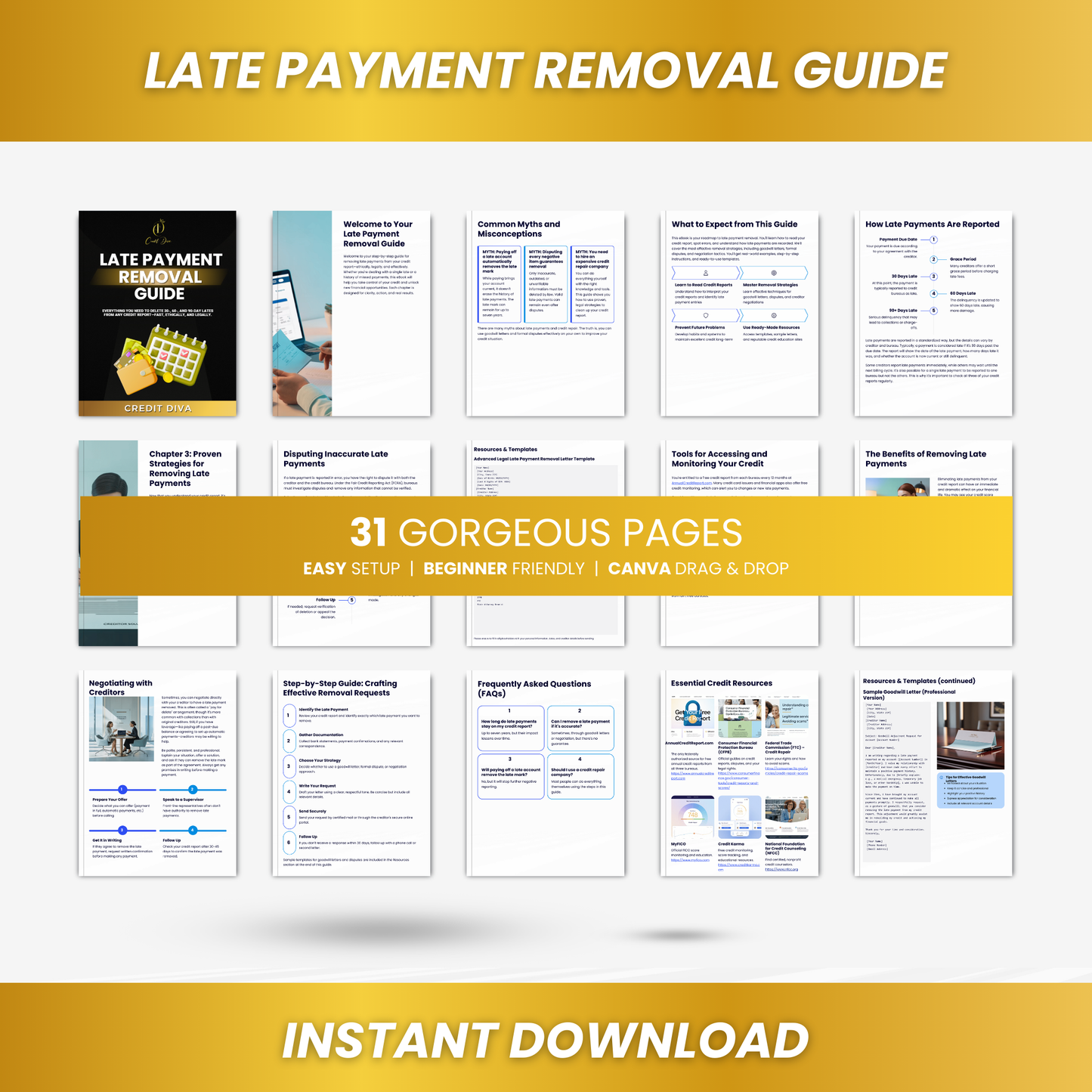 Late Payment Removal Guide