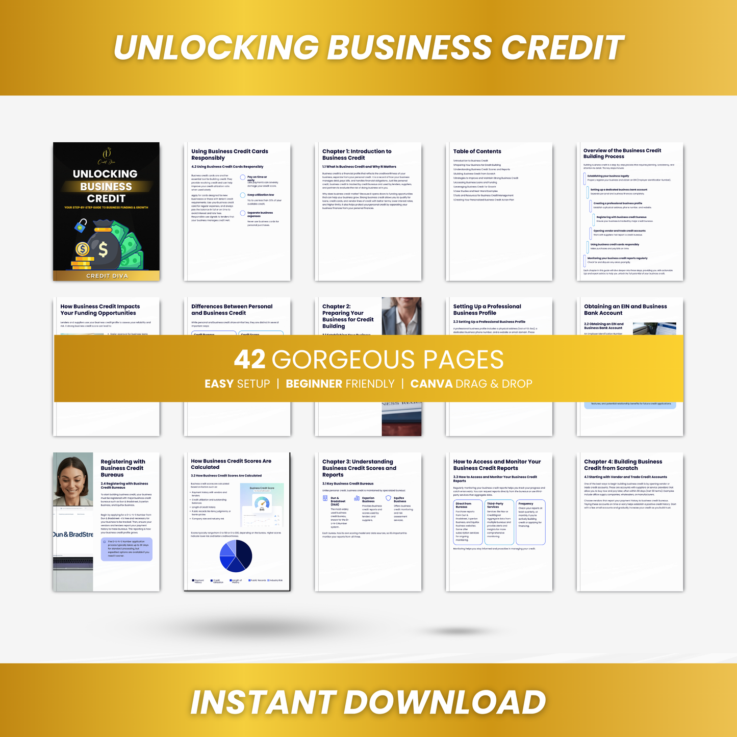 Unlocking Business Credit: Step-by-Step Success